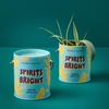 image:imageModern Sprout Complimentary Color Grow Kits Pack of 4  Gift for Plant Lovers  Seed Starter Kit  Includes Organic Strawberry Tomato Sunflower amp Cactus Seeds  Gardening Gifts that Grows with LovePack of 3
