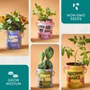 image:imageModern Sprout Complimentary Color Grow Kits Pack of 4  Gift for Plant Lovers  Seed Starter Kit  Includes Organic Strawberry Tomato Sunflower amp Cactus Seeds  Gardening Gifts that Grows with LovePack of 4