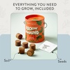 image:imageModern Sprout Complimentary Color Grow Kits Pack of 4  Gift for Plant Lovers  Seed Starter Kit  Includes Organic Strawberry Tomato Sunflower amp Cactus Seeds  Gardening Gifts that Grows with LovePack of 3
