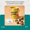 image:imageModern Sprout Complimentary Color Grow Kits Pack of 4  Gift for Plant Lovers  Seed Starter Kit  Includes Organic Strawberry Tomato Sunflower amp Cactus Seeds  Gardening Gifts that Grows with LovePack of 4
