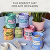 image:imageModern Sprout Complimentary Color Grow Kits Pack of 4  Gift for Plant Lovers  Seed Starter Kit  Includes Organic Strawberry Tomato Sunflower amp Cactus Seeds  Gardening Gifts that Grows with LovePack of 6