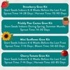 image:imageModern Sprout Complimentary Color Grow Kits Pack of 4  Gift for Plant Lovers  Seed Starter Kit  Includes Organic Strawberry Tomato Sunflower amp Cactus Seeds  Gardening Gifts that Grows with LovePack of 4