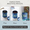 image:imageModern Sprout Complimentary Color Grow Kits Pack of 4  Gift for Plant Lovers  Seed Starter Kit  Includes Organic Strawberry Tomato Sunflower amp Cactus Seeds  Gardening Gifts that Grows with LovePack of 3