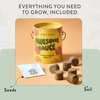 image:imageModern Sprout Complimentary Color Grow Kits Pack of 4  Gift for Plant Lovers  Seed Starter Kit  Includes Organic Strawberry Tomato Sunflower amp Cactus Seeds  Gardening Gifts that Grows with LovePack of 6