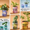 image:imageModern Sprout Complimentary Color Grow Kits Pack of 4  Gift for Plant Lovers  Seed Starter Kit  Includes Organic Strawberry Tomato Sunflower amp Cactus Seeds  Gardening Gifts that Grows with LovePack of 6