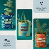 image:imageModern Sprout Complimentary Color Grow Kits Pack of 4  Gift for Plant Lovers  Seed Starter Kit  Includes Organic Strawberry Tomato Sunflower amp Cactus Seeds  Gardening Gifts that Grows with LovePack of 3