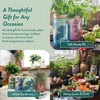 image:imageModern Sprout Garden Jar Gift Pack  SelfWatering Hydroponics Growing System Kit with Organic Herb Seeds  Seed Starter Kit for Indoor Herb Garden  Home Decor amp Gifting  Basil Parsley amp MintBasil  Parsley  Mint