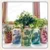 image:imageModern Sprout Garden Jar Gift Pack  SelfWatering Hydroponics Growing System Kit with Organic Herb Seeds  Seed Starter Kit for Indoor Herb Garden  Home Decor amp Gifting  Basil Parsley amp MintLavender
