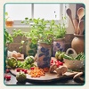 image:imageModern Sprout Garden Jar Gift Pack  SelfWatering Hydroponics Growing System Kit with Organic Herb Seeds  Seed Starter Kit for Indoor Herb Garden  Home Decor amp Gifting  Basil Parsley amp MintBasil