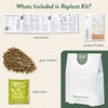 image:imageModern Sprout Garden Jar Gift Pack  SelfWatering Hydroponics Growing System Kit with Organic Herb Seeds  Seed Starter Kit for Indoor Herb Garden  Home Decor amp Gifting  Basil Parsley amp MintCilantro