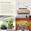 image:imageModern Sprout Garden Jar Gift Pack  SelfWatering Hydroponics Growing System Kit with Organic Herb Seeds  Seed Starter Kit for Indoor Herb Garden  Home Decor amp Gifting  Basil Parsley amp MintBasil  Rosemary  Parsley