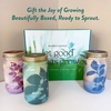 image:imageModern Sprout Garden Jar Gift Pack  SelfWatering Hydroponics Growing System Kit with Organic Herb Seeds  Seed Starter Kit for Indoor Herb Garden  Home Decor amp Gifting  Basil Parsley amp MintBasil  Parsley  Mint