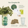 image:imageModern Sprout Garden Jar Gift Pack  SelfWatering Hydroponics Growing System Kit with Organic Herb Seeds  Seed Starter Kit for Indoor Herb Garden  Home Decor amp Gifting  Basil Parsley amp MintCilantro