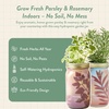 image:imageModern Sprout Garden Jar Gift Pack  SelfWatering Hydroponics Growing System Kit with Organic Herb Seeds  Seed Starter Kit for Indoor Herb Garden  Home Decor amp Gifting  Basil Parsley amp MintRosemary  Parsley