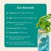 image:imageModern Sprout Garden Jar Gift Pack  SelfWatering Hydroponics Growing System Kit with Organic Herb Seeds  Seed Starter Kit for Indoor Herb Garden  Home Decor amp Gifting  Basil Parsley amp MintBasil