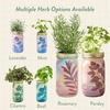 image:imageModern Sprout Garden Jar Gift Pack  SelfWatering Hydroponics Growing System Kit with Organic Herb Seeds  Seed Starter Kit for Indoor Herb Garden  Home Decor amp Gifting  Basil Parsley amp MintRosemary  Parsley