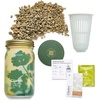 image:imageModern Sprout Garden Jar Gift Pack  SelfWatering Hydroponics Growing System Kit with Organic Herb Seeds  Seed Starter Kit for Indoor Herb Garden  Home Decor amp Gifting  Basil Parsley amp MintCilantro