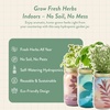 image:imageModern Sprout Garden Jar Gift Pack  SelfWatering Hydroponics Growing System Kit with Organic Herb Seeds  Seed Starter Kit for Indoor Herb Garden  Home Decor amp Gifting  Basil Parsley amp MintBasil  Rosemary  Parsley