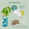 image:imageModern Sprout Garden Jar Gift Pack  SelfWatering Hydroponics Growing System Kit with Organic Herb Seeds  Seed Starter Kit for Indoor Herb Garden  Home Decor amp Gifting  Basil Parsley amp MintBasil  Parsley  Mint