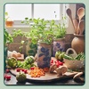 image:imageModern Sprout Garden Jar Gift Pack  SelfWatering Hydroponics Growing System Kit with Organic Herb Seeds  Seed Starter Kit for Indoor Herb Garden  Home Decor amp Gifting  Basil Parsley amp MintBasil  Parsley  Mint