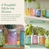 image:imageModern Sprout Mason Garden Jar  SelfWatering Hydroponics Growing System Kit with Organic Herb Seeds  Jar Planter for Indoor Herb Garden Seed Starter Kit  Decor amp Gifting BasilLavenderSunflowerPoppy  Rosemary  Mint