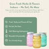 image:imageModern Sprout Mason Garden Jar  SelfWatering Hydroponics Growing System Kit with Organic Herb Seeds  Jar Planter for Indoor Herb Garden Seed Starter Kit  Decor amp Gifting BasilLavenderSunflowerBasil  Lavender  Sunflower