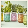 image:imageModern Sprout Mason Garden Jar  SelfWatering Hydroponics Growing System Kit with Organic Herb Seeds  Jar Planter for Indoor Herb Garden Seed Starter Kit  Decor amp Gifting BasilLavenderSunflowerBasil  Lavender  Sunflower