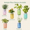 image:imageModern Sprout Mason Garden Jar  SelfWatering Hydroponics Growing System Kit with Organic Herb Seeds  Jar Planter for Indoor Herb Garden Seed Starter Kit  Decor amp Gifting BasilLavenderSunflowerBasil  Lavender  Sunflower