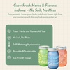 image:imageModern Sprout Mason Garden Jar  SelfWatering Hydroponics Growing System Kit with Organic Herb Seeds  Jar Planter for Indoor Herb Garden Seed Starter Kit  Decor amp Gifting BasilLavenderSunflowerPoppy  Rosemary  Mint