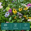 image:imageModern Sprout Pollinator Garden Gift Set  Spring Gifts for Kids  Educational Gardening Tools for Little Gardeners  EcoFriendly Kids Gardening Set wTrowel Wooden Markers amp Wildflower Seeds 3pk