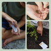 image:imageModern Sprout Pollinator Garden Gift Set  Spring Gifts for Kids  Educational Gardening Tools for Little Gardeners  EcoFriendly Kids Gardening Set wTrowel Wooden Markers amp Wildflower Seeds 3pk