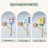 image:imageModern Sprout Seed Pops  Gifts for Plant Lovers amp Kids  Organic NonGMO Hooray Bouquet Bloomin for You amp ThanksaBunch Wildflower Seeds  Spring Activity for Kids  Ideal for Indoor amp Outdoor12pkHerb  Veggie