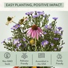image:imageModern Sprout Seed Pops  Gifts for Plant Lovers amp Kids  Organic NonGMO Hooray Bouquet Bloomin for You amp ThanksaBunch Wildflower Seeds  Spring Activity for Kids  Ideal for Indoor amp Outdoor12pkWildflower