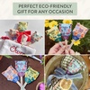 image:imageModern Sprout Seed Pops  Gifts for Plant Lovers amp Kids  Organic NonGMO Hooray Bouquet Bloomin for You amp ThanksaBunch Wildflower Seeds  Spring Activity for Kids  Ideal for Indoor amp Outdoor12pkWildflower