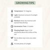 image:imageModern Sprout Seed Pops  Gifts for Plant Lovers amp Kids  Organic NonGMO Hooray Bouquet Bloomin for You amp ThanksaBunch Wildflower Seeds  Spring Activity for Kids  Ideal for Indoor amp Outdoor12pkHerb  Veggie