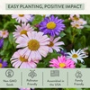 image:imageModern Sprout Seed Pops  Gifts for Plant Lovers amp Kids  Organic NonGMO Hooray Bouquet Bloomin for You amp ThanksaBunch Wildflower Seeds  Spring Activity for Kids  Ideal for Indoor amp Outdoor12pkFlower Seed Pops