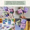 image:imageModern Sprout Seed Pops  Gifts for Plant Lovers amp Kids  Organic NonGMO Hooray Bouquet Bloomin for You amp ThanksaBunch Wildflower Seeds  Spring Activity for Kids  Ideal for Indoor amp Outdoor12pkFlower Seed Pops