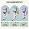 image:imageModern Sprout Seed Pops  Gifts for Plant Lovers amp Kids  Organic NonGMO Hooray Bouquet Bloomin for You amp ThanksaBunch Wildflower Seeds  Spring Activity for Kids  Ideal for Indoor amp Outdoor12pkFlower Seed Pops