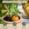 image:imageModern Sprout Terracotta SelfWatering Bulbs for Indoor Plants10oz Watering Globes 3 Pack Glazed Finish with Cork Top  Plum Sage amp Mustard Decorative Plant Accessories Fathers Day Gift for Dad