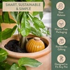 image:imageModern Sprout Terracotta SelfWatering Bulbs for Indoor Plants10oz Watering Globes 3 Pack Glazed Finish with Cork Top  Plum Sage amp Mustard Decorative Plant Accessories Fathers Day Gift for Dad