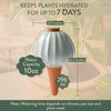 image:imageModern Sprout Terracotta SelfWatering Bulbs for Indoor Plants10oz Watering Globes 3 Pack Glazed Finish with Cork Top  Plum Sage amp Mustard Decorative Plant Accessories Fathers Day Gift for Dad