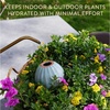 image:imageModern Sprout Terracotta SelfWatering Bulbs for Indoor Plants10oz Watering Globes 3 Pack Glazed Finish with Cork Top  Plum Sage amp Mustard Decorative Plant Accessories Fathers Day Gift for Dad