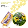 image:imageModern Sprout Seed Confetti Poppers with Flower Seeds  Party Favors for Outdoor Wedding Birthday amp Parties  NonToxic PlasticFree amp Pollinator Safe Plantable Seed Paper Yellow CheersPack of 12Yellow Cheers Refills