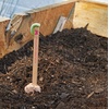 image:imageModern Sprout Seed Pops  Organic NonGMO Humble Bee Butterfly amp Song Bird Wildflower Seeds  Fun Family Activity  Ideal for Indoor amp Outdoor  Gift for Kids Adults amp Plant Lovers Pack of 12