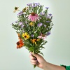 image:imageModern Sprout Seed Pops  Organic NonGMO Humble Bee Butterfly amp Song Bird Wildflower Seeds  Fun Family Activity  Ideal for Indoor amp Outdoor  Gift for Kids Adults amp Plant Lovers Pack of 12