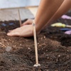 image:imageModern Sprout Seed Pops  Organic NonGMO Humble Bee Butterfly amp Song Bird Wildflower Seeds  Fun Family Activity  Ideal for Indoor amp Outdoor  Gift for Kids Adults amp Plant Lovers Pack of 12