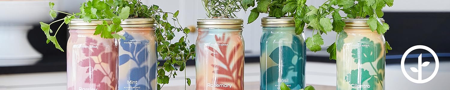 Modern Sprout | Grow Joy Indoors – Urban Gardening Essentials