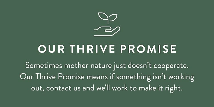 Modern Sprout | Grow Joy Indoors – Urban Gardening Essentials