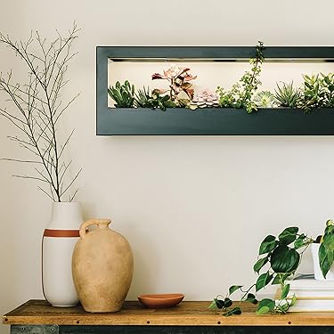 Modern Sprout | Grow Joy Indoors – Urban Gardening Essentials
