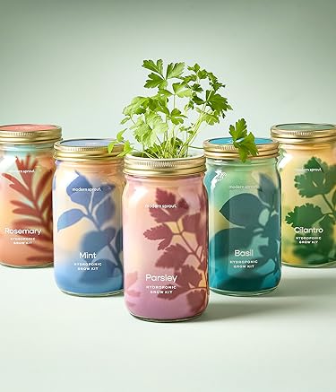 Modern Sprout | Grow Joy Indoors – Urban Gardening Essentials